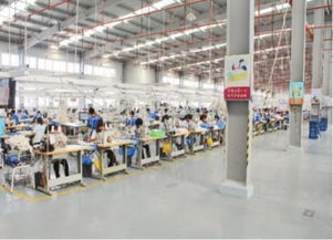 服装加工厂的设立条件与利润分析